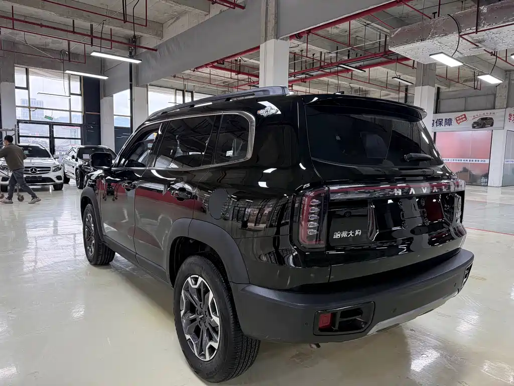 HAVAL BIG DOG
