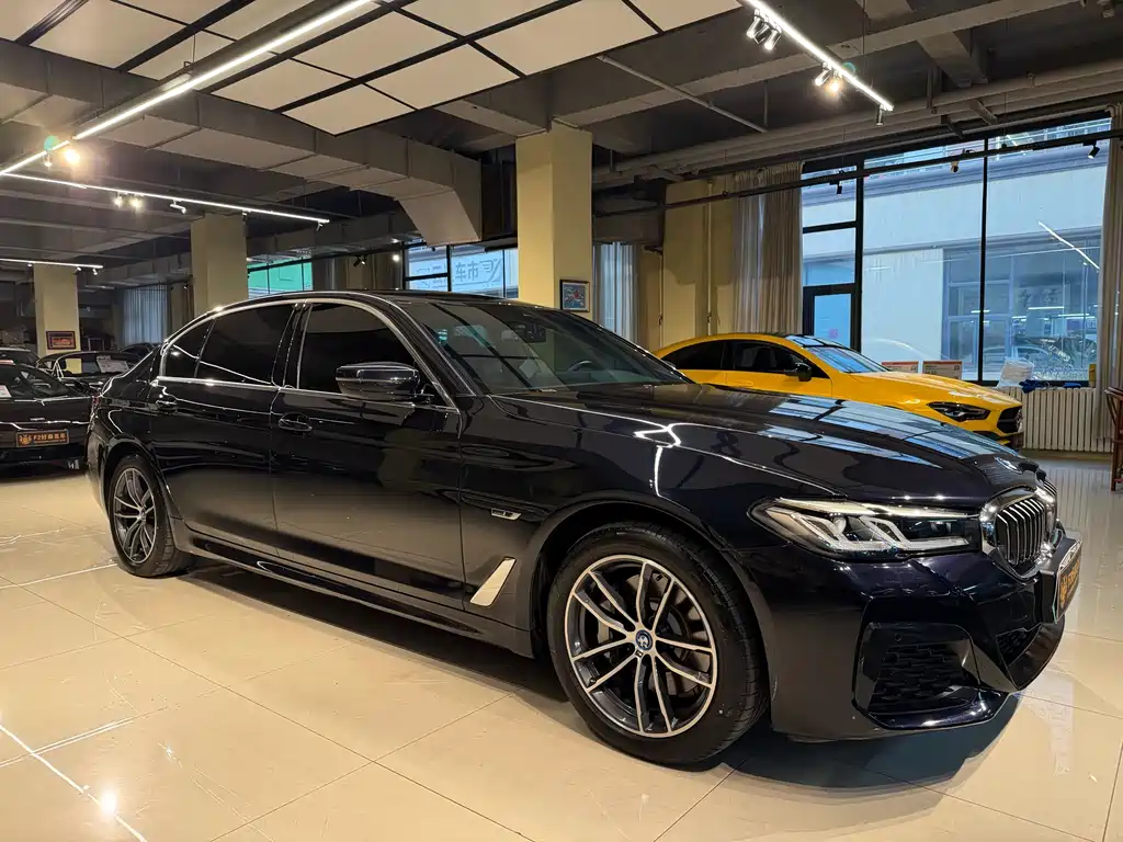 BMW 5 Series New Energy Facelift 2 535Le M Sport Package, фото 7