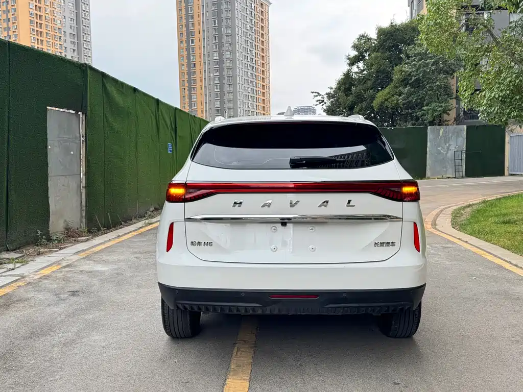 Haval H6 — миниатюра 16