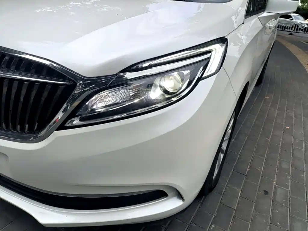 Buick GL8 — миниатюра 24