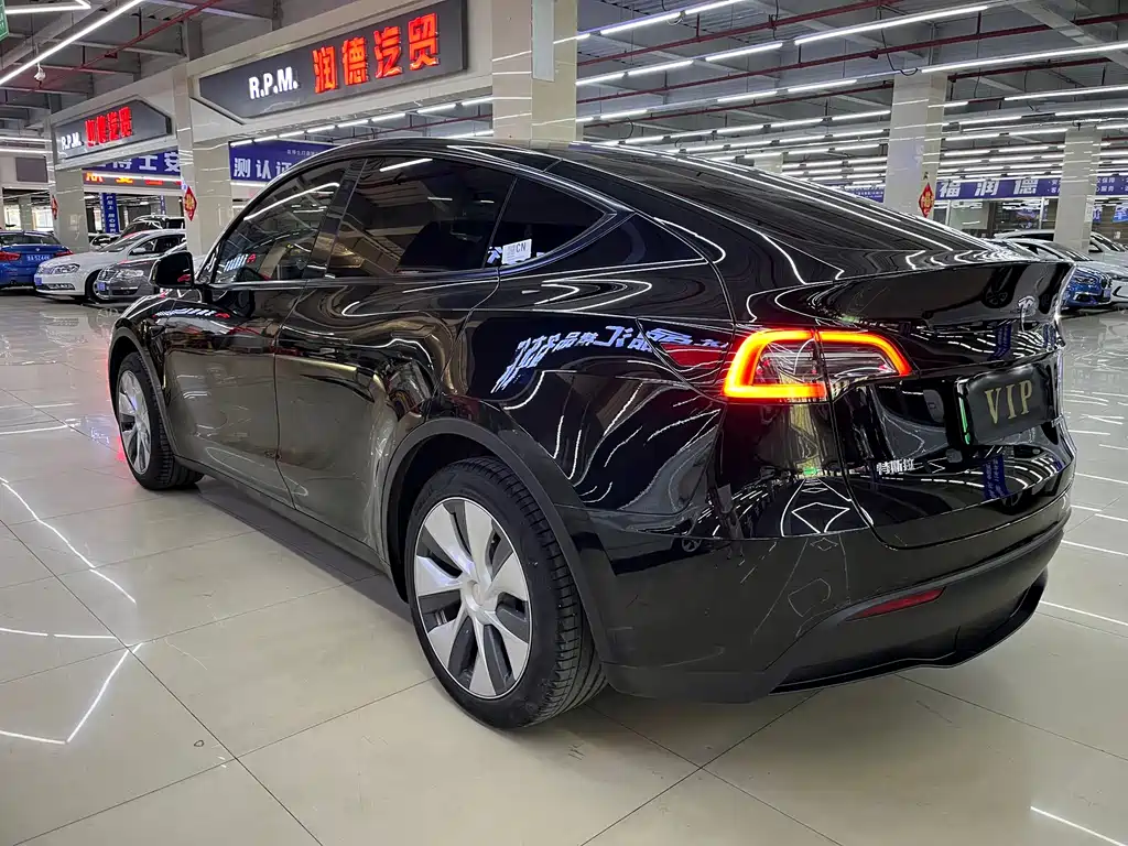 Tesla Model Y — миниатюра 12