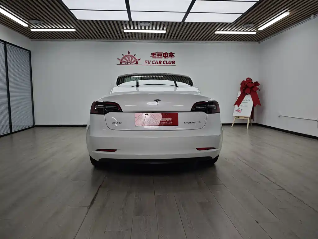 Tesla Model 3 — миниатюра 6