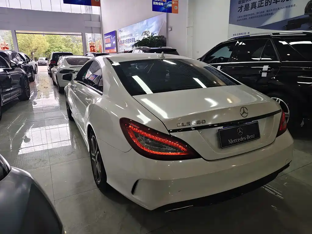 Mercedes-Benz CLS — миниатюра 10