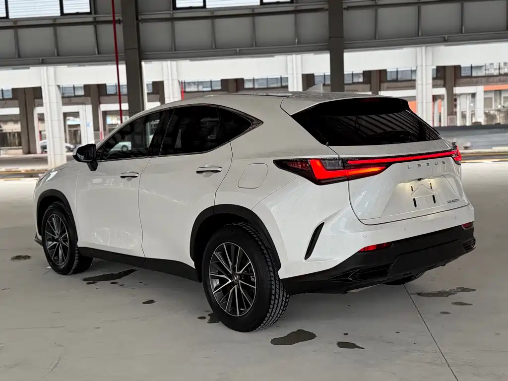 Lexus NX New Energy — миниатюра 12