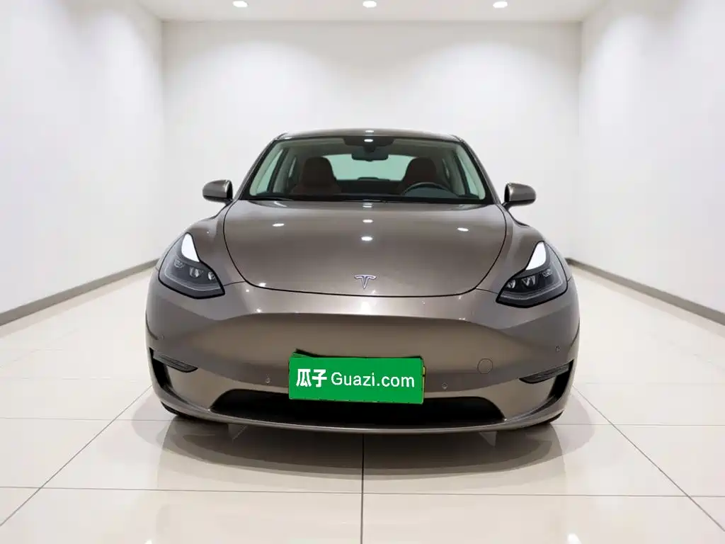 Tesla Model Y — миниатюра 2