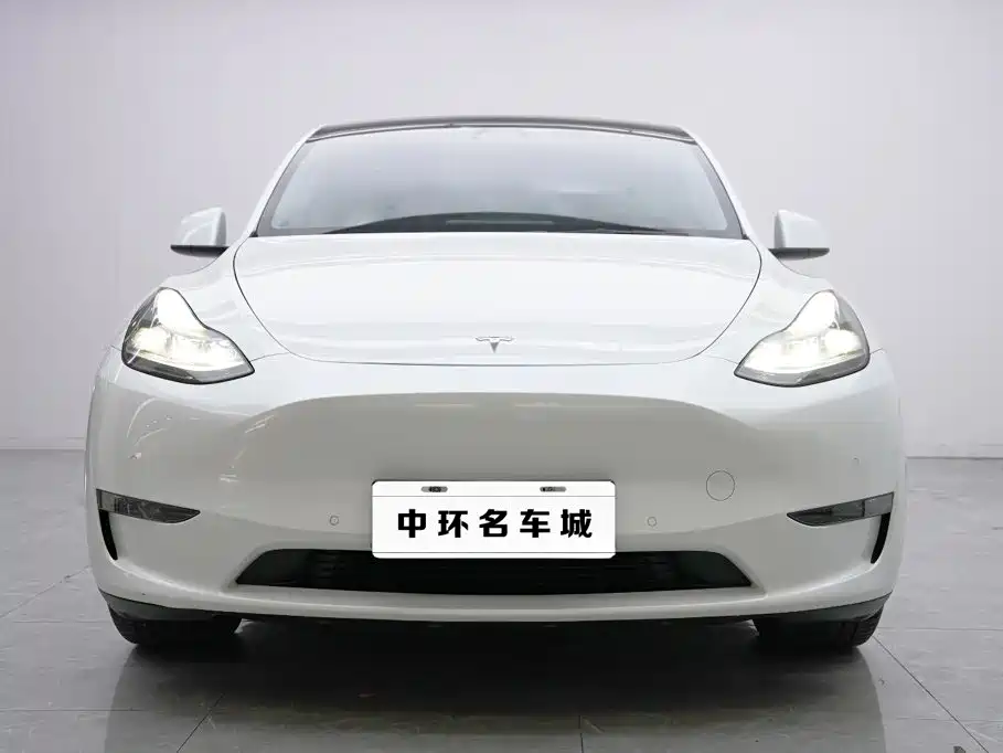 Tesla Model Y — миниатюра 4