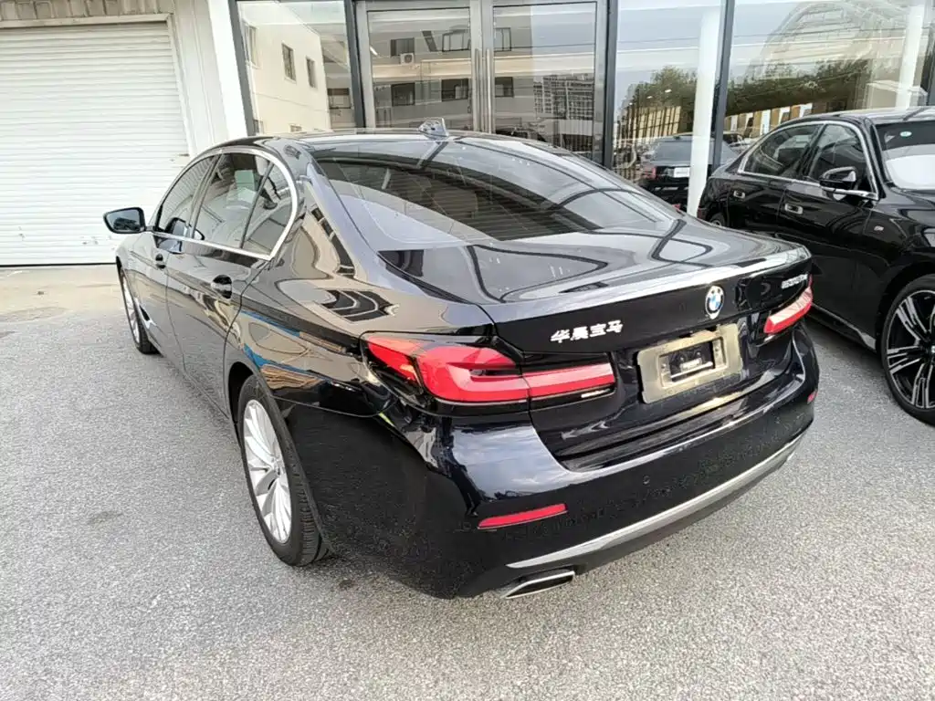 BMW 5 Series New Energy — миниатюра 5