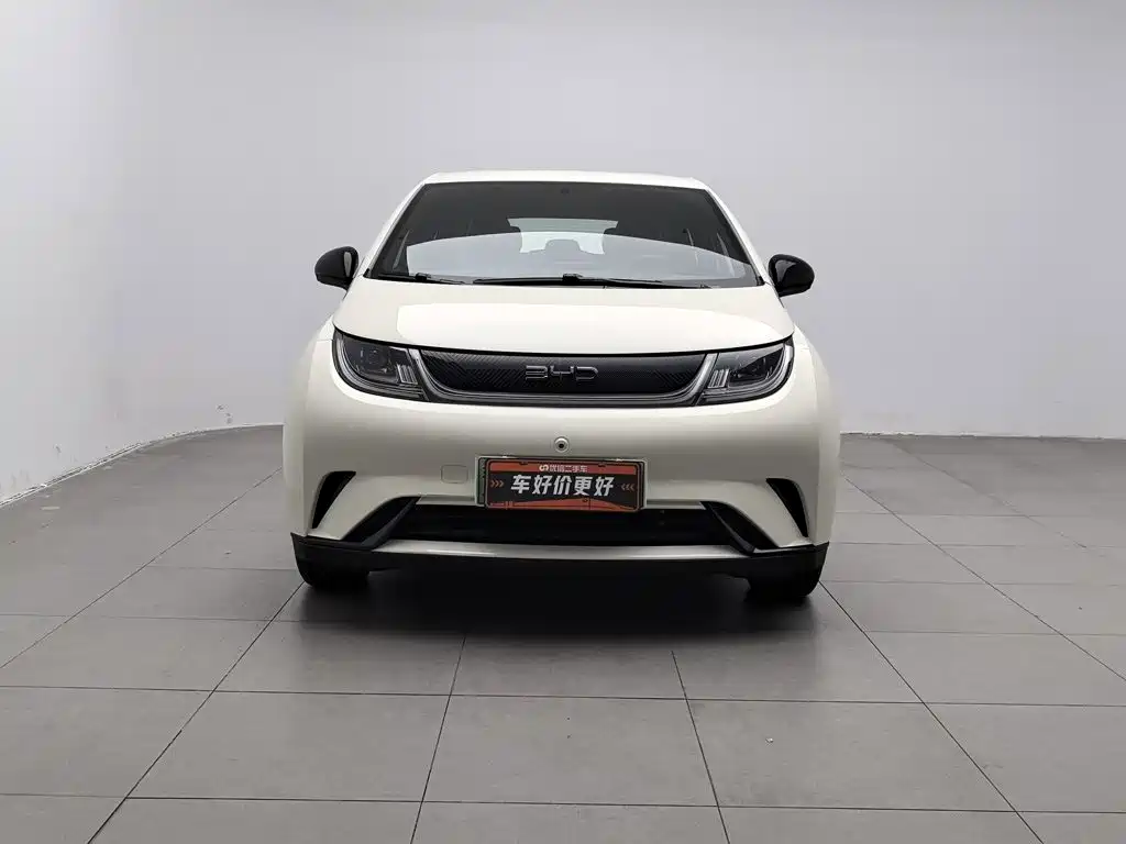 BYD Dolphin — миниатюра 3