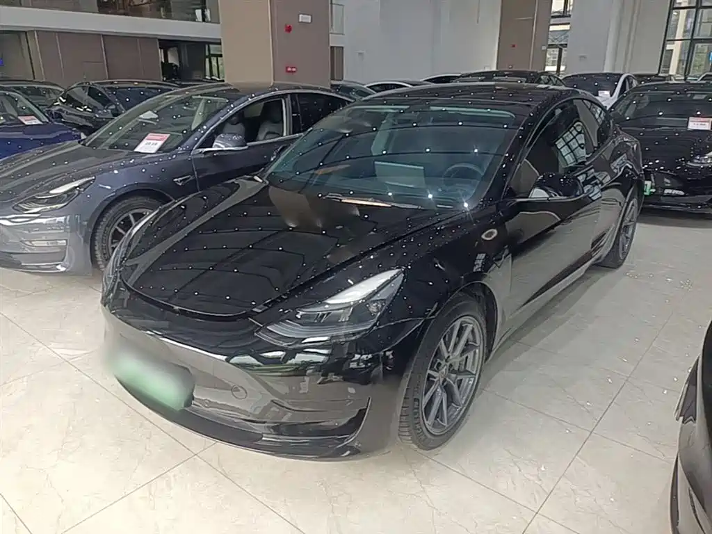 Tesla Model 3 2021