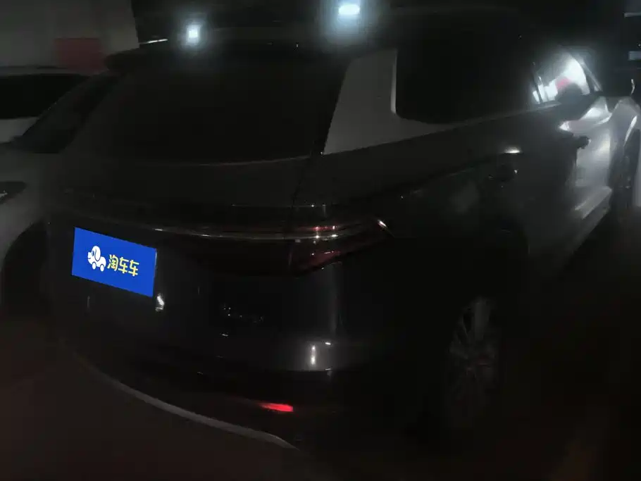 BYD Pro — миниатюра 3
