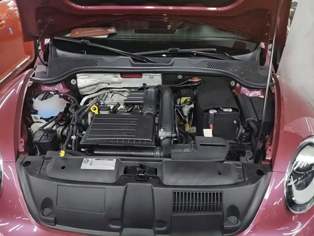 Volkswagen Beetle — миниатюра 20