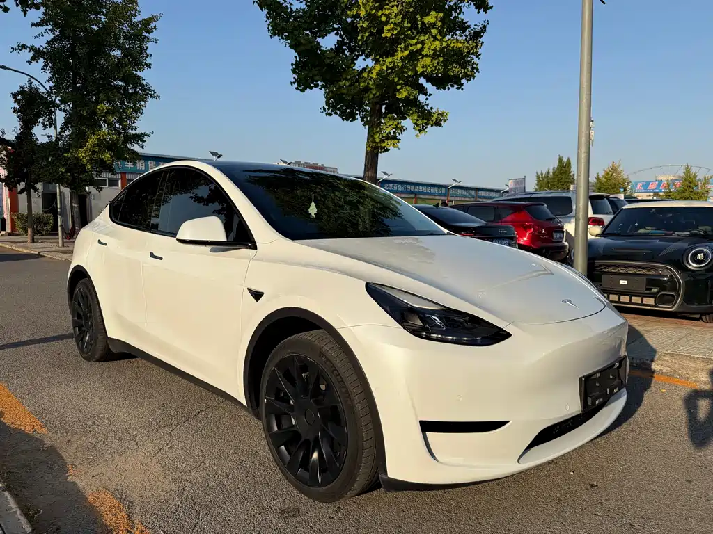 Tesla Model Y — миниатюра 3