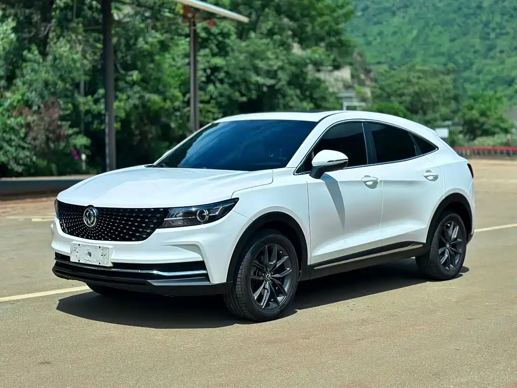 Fengguang Fengguang ix5 2020