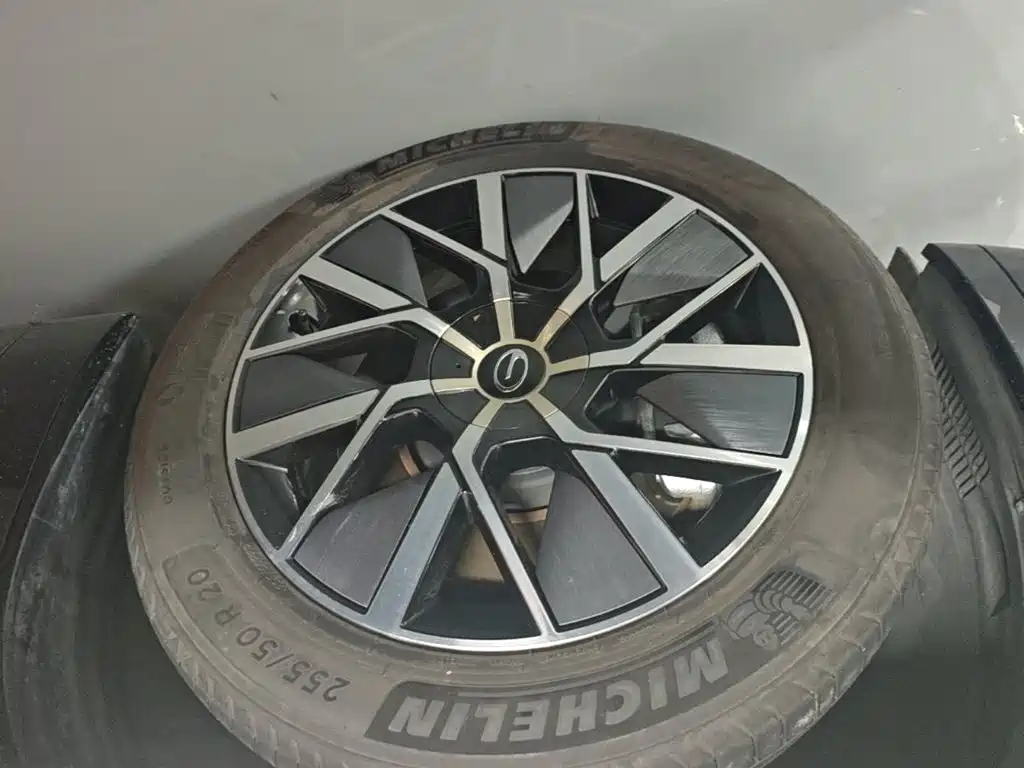 GAC Motor Trumpchi Xiangwang S9 — миниатюра 23