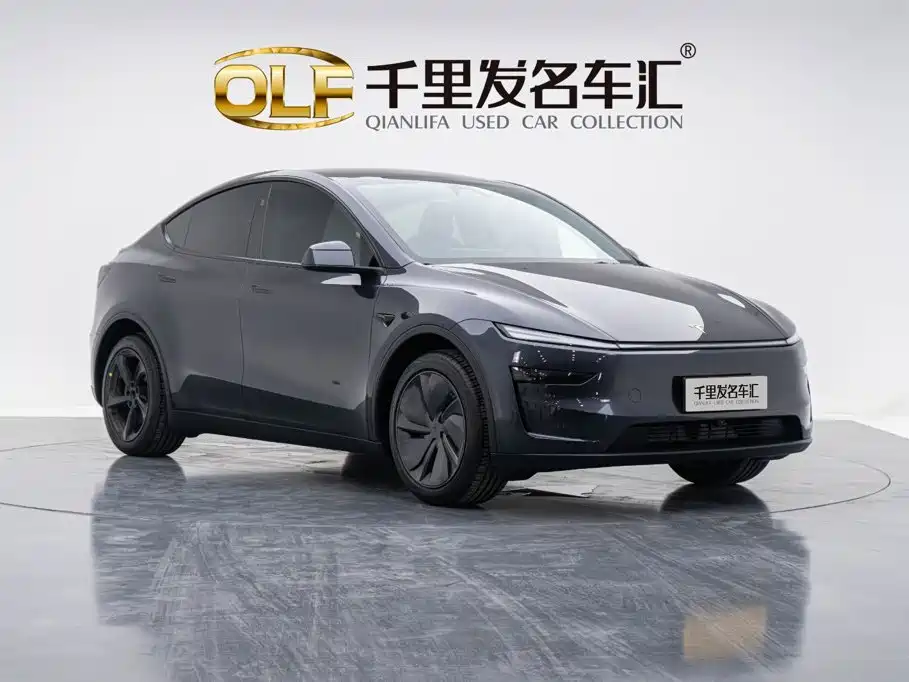 Tesla Model Y — миниатюра 5