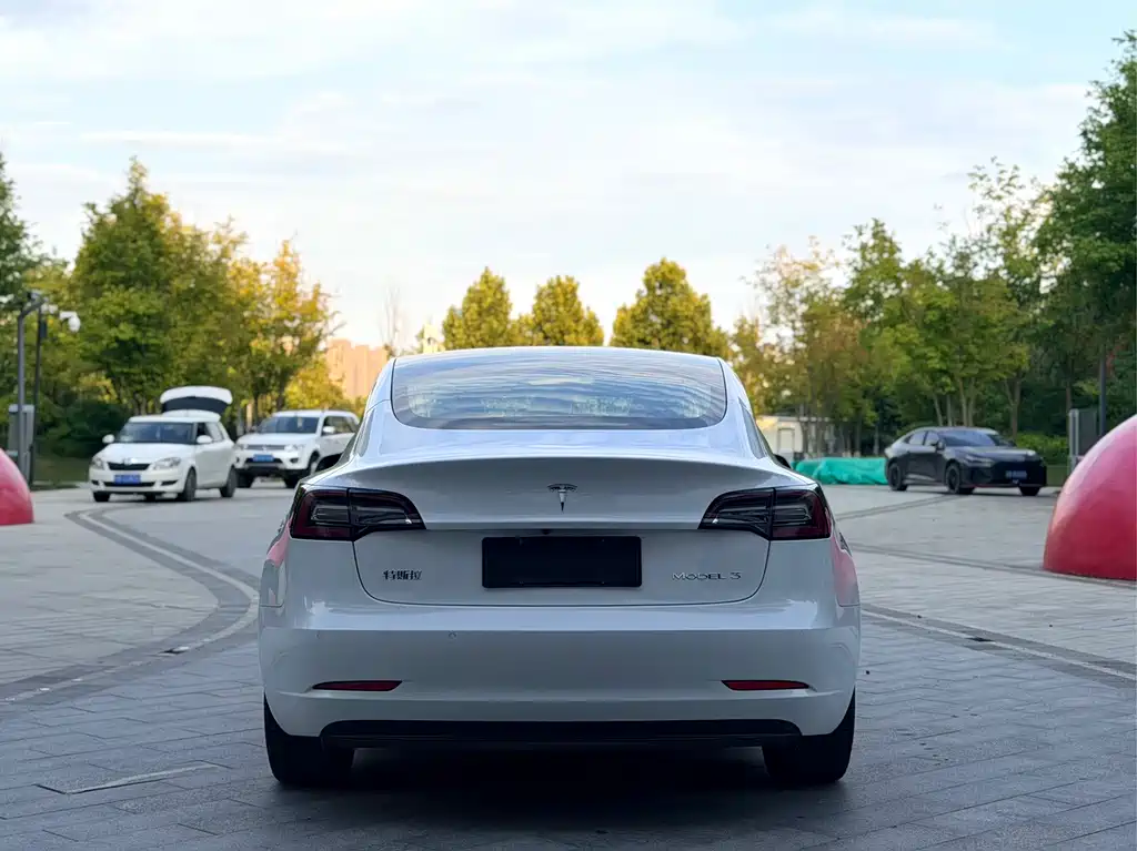 Tesla Model 3 — миниатюра 19
