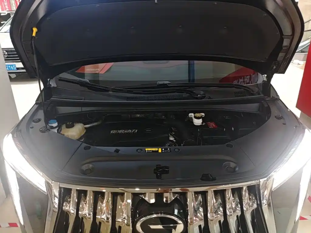 GAC Motor Trumpchi M8 — миниатюра 20
