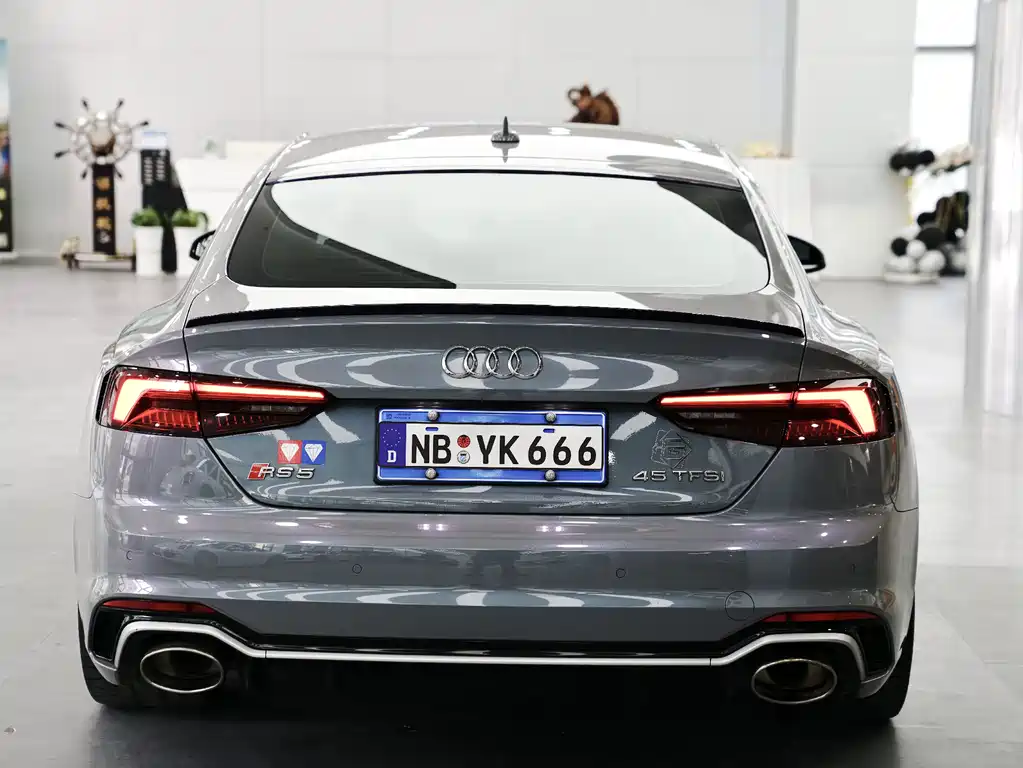 Audi RS 5 2019 RS 5 2.9T Sportback