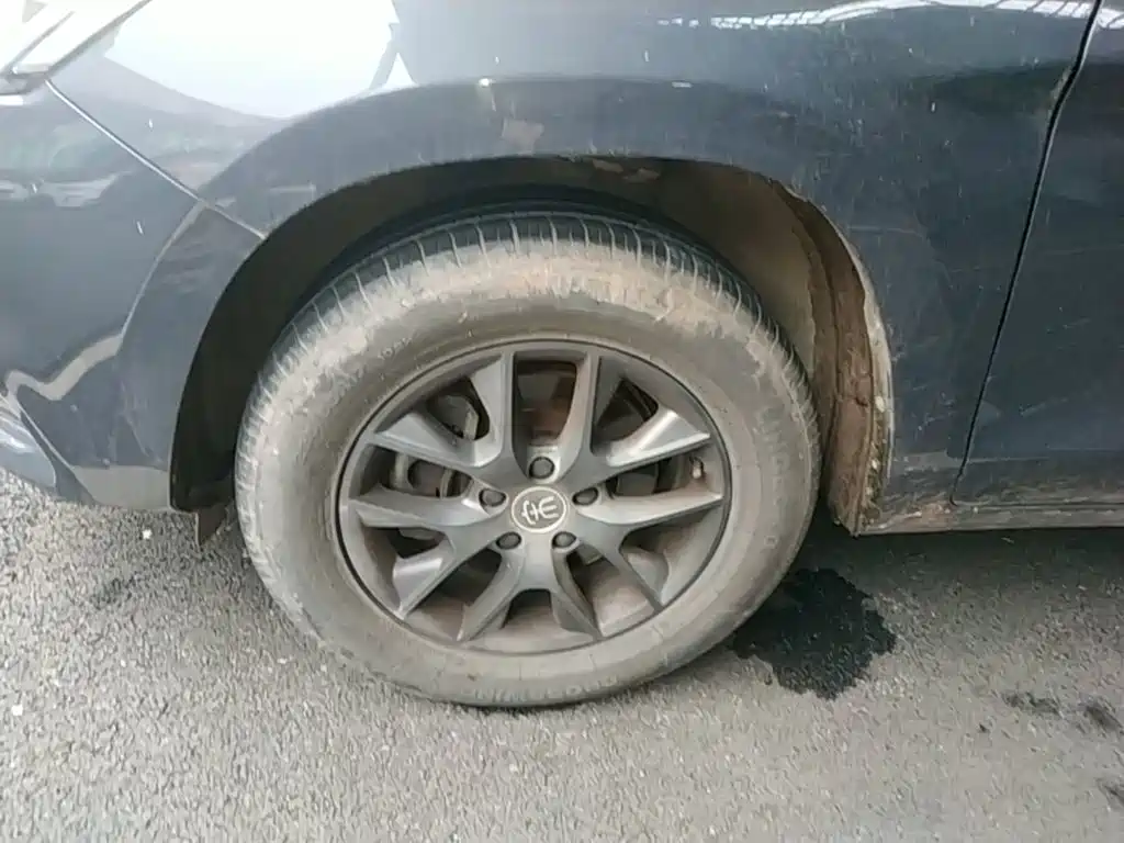 BYD Song — миниатюра 23