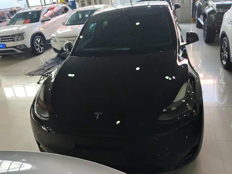 Tesla Model Y — миниатюра 2