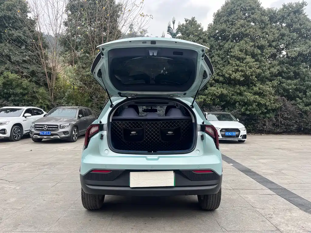 GEELY GEOMETRY E FIREFLY