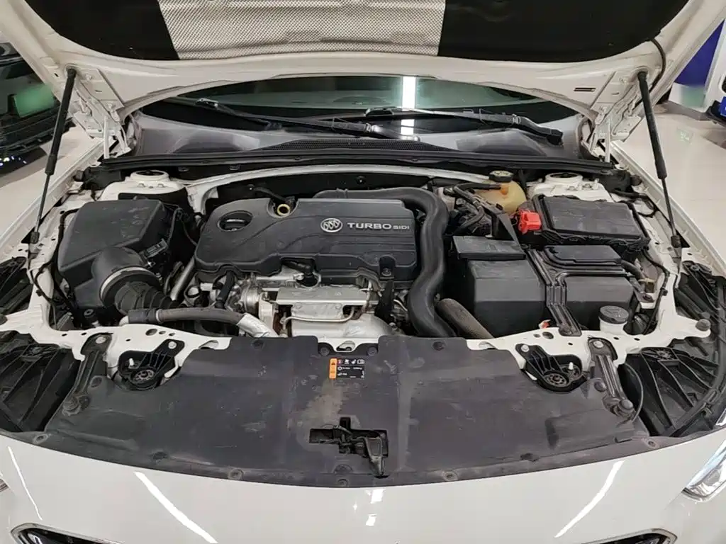 Buick Regal — миниатюра 20