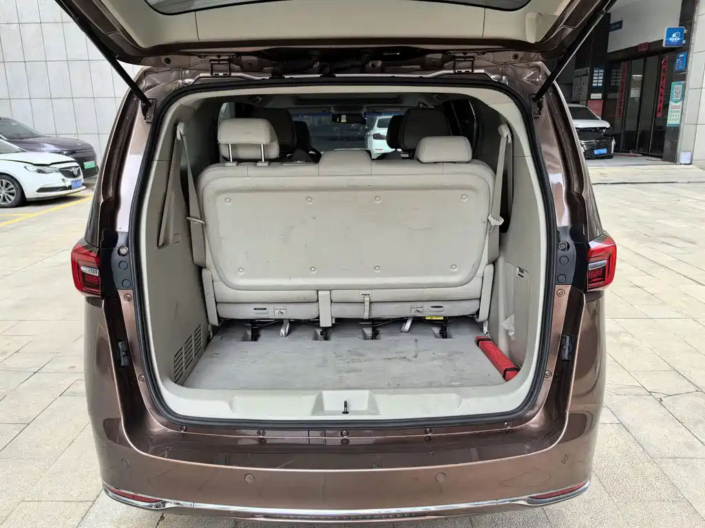 Buick GL8 — миниатюра 15