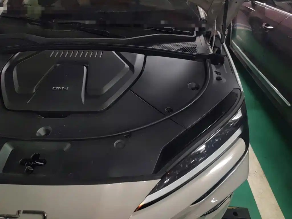 BYD PLUS New Energy — миниатюра 21