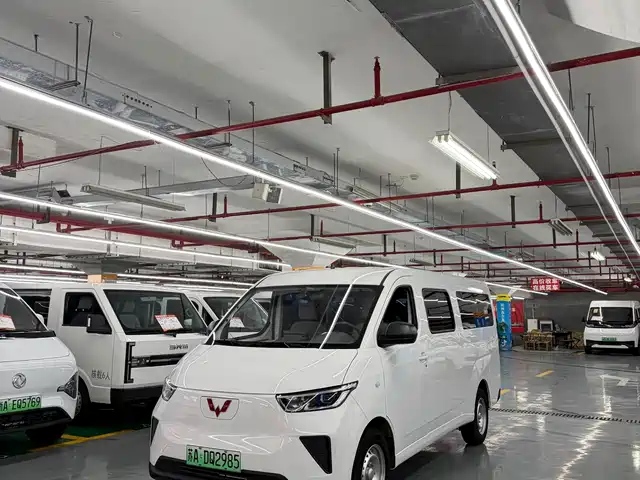 2024 Wuling Motors Yangguang