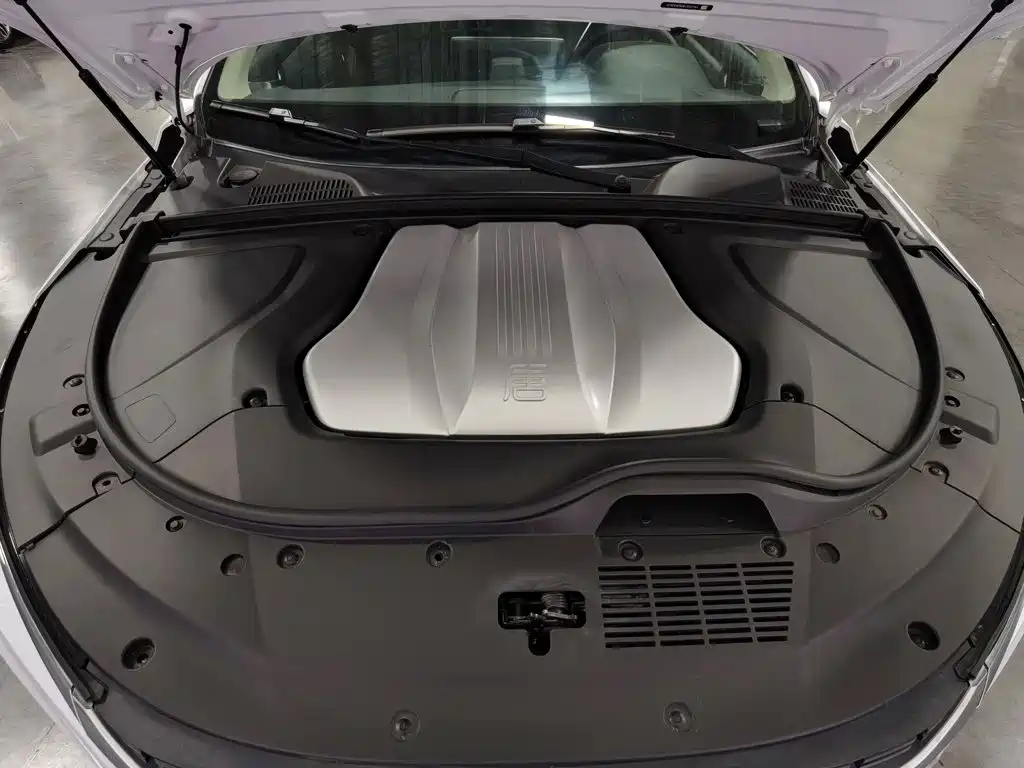 BYD Tang New Energy — миниатюра 6