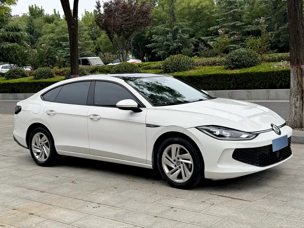Volkswagen Lamando — миниатюра 3