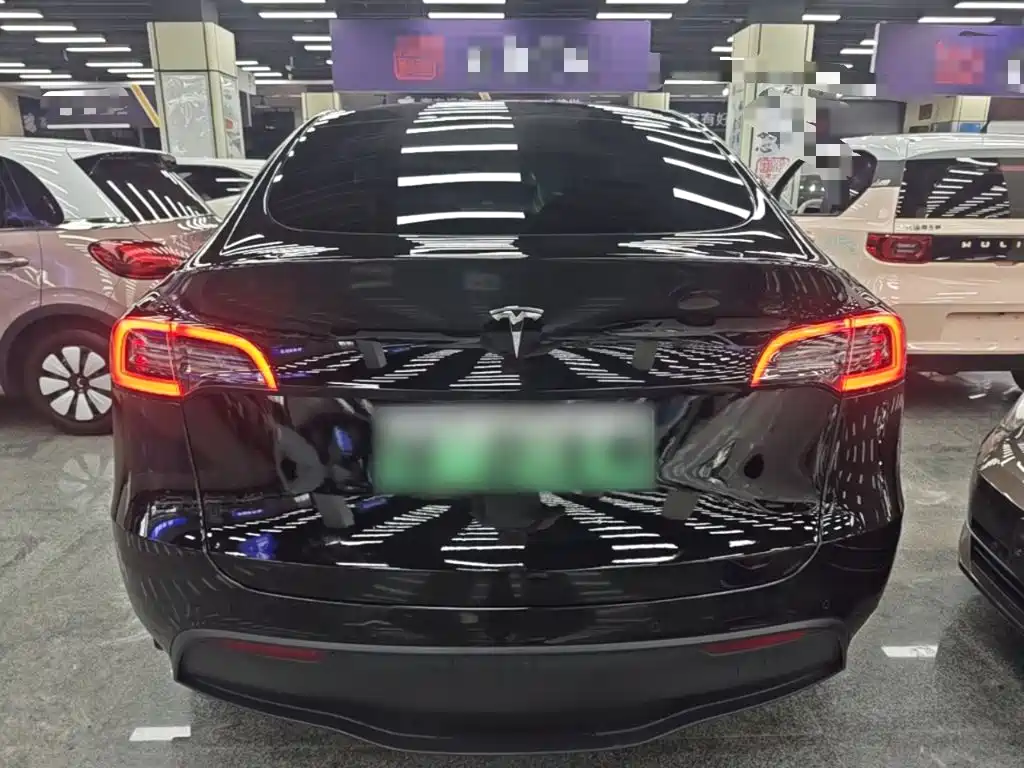 Tesla Model Y — миниатюра 6