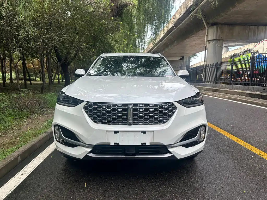 Wey Wey VV6 — миниатюра 2