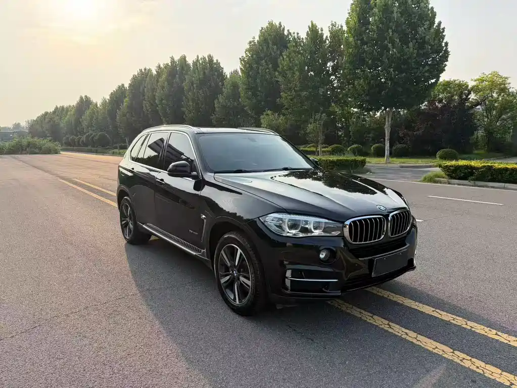 BMW X5 (Import) — миниатюра 3