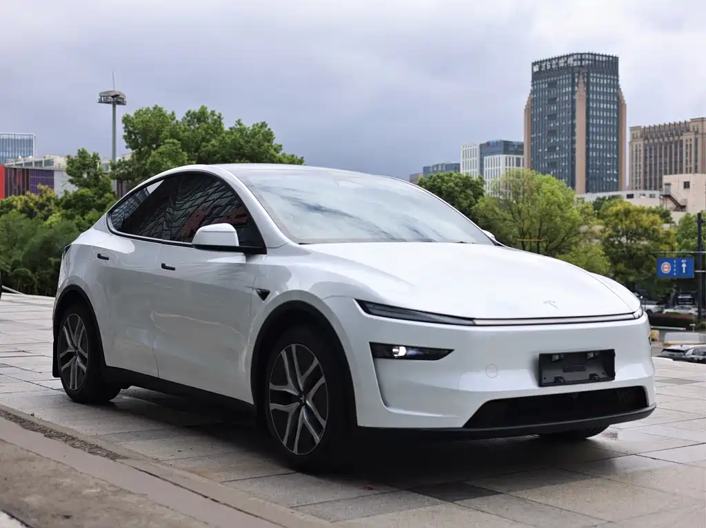 Tesla Model Y — миниатюра 2