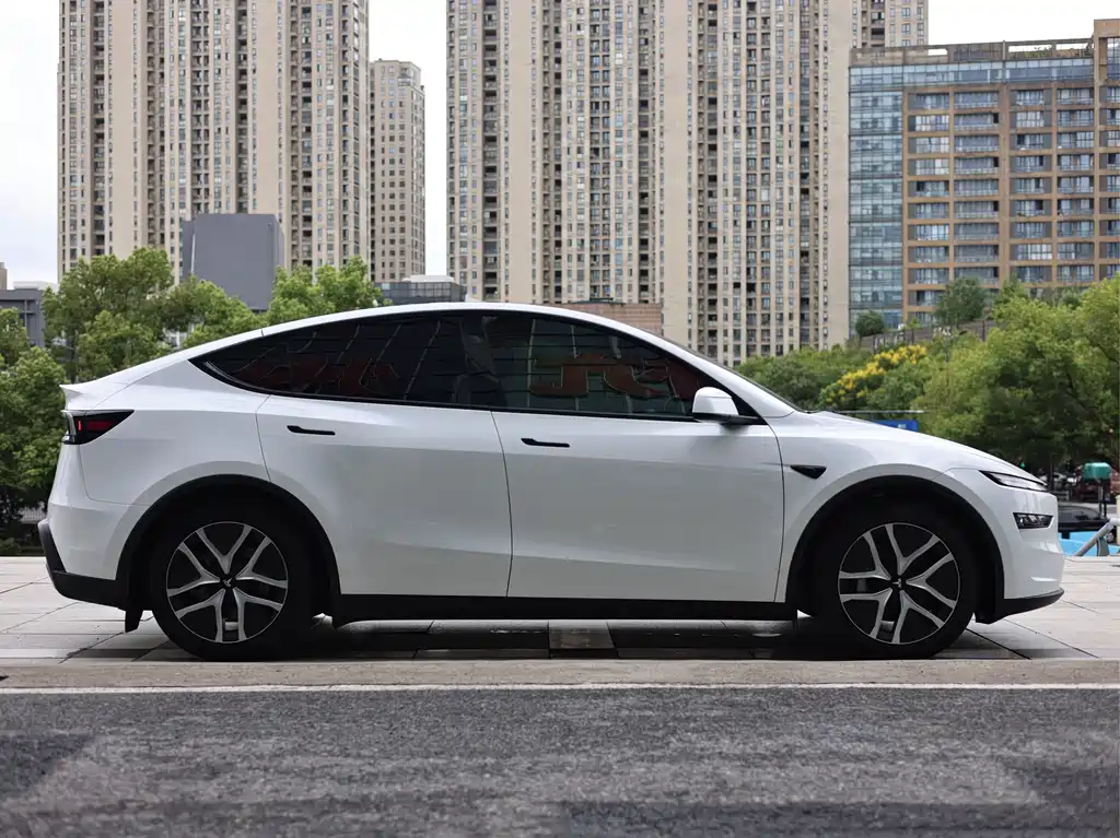 Tesla Model Y — миниатюра 6