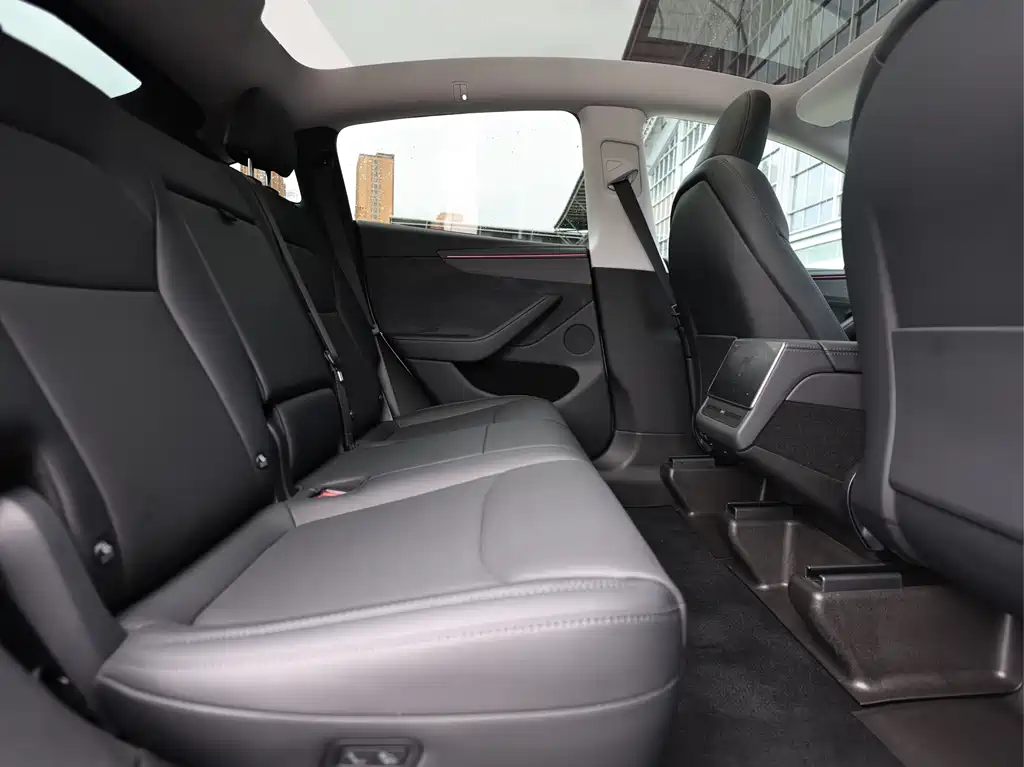 Tesla Model Y — миниатюра 13