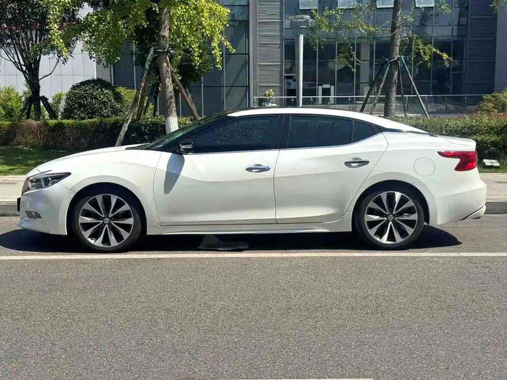 Nissan Cima — миниатюра 3
