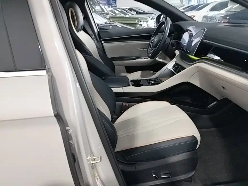 BYD PLUS New Energy — миниатюра 25