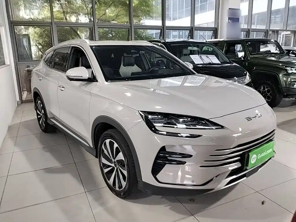 BYD PLUS New Energy — миниатюра 4
