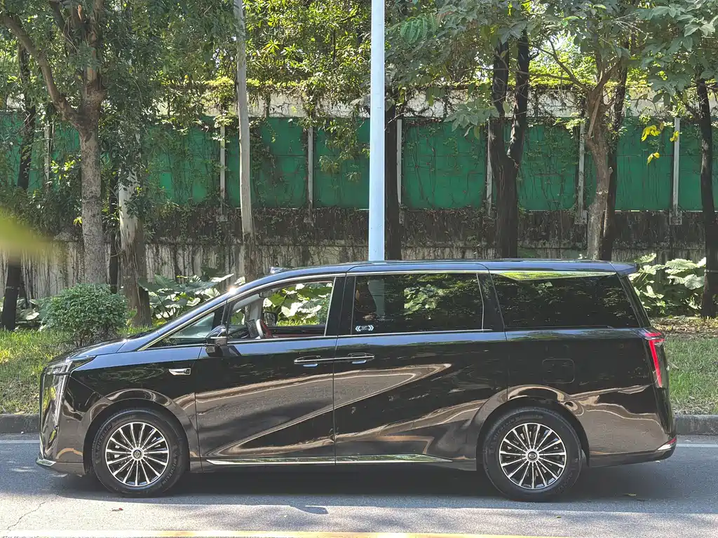 GAC Motor Trumpchi Xiangwang M8 — миниатюра 3