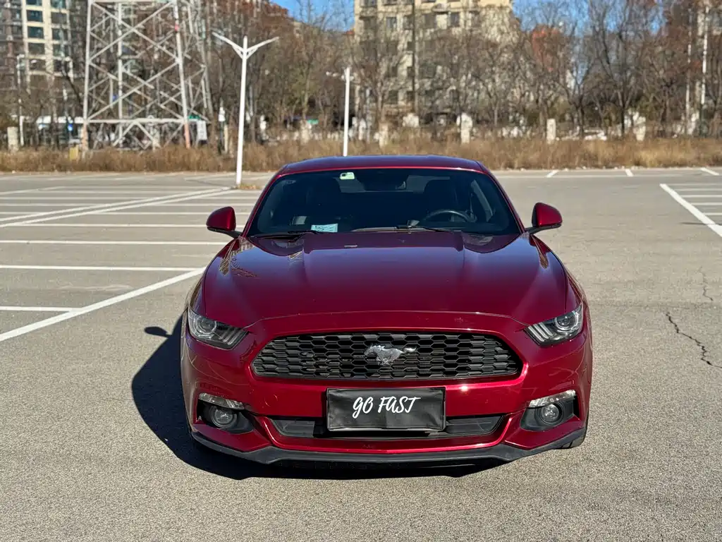 FORD MUSTANG