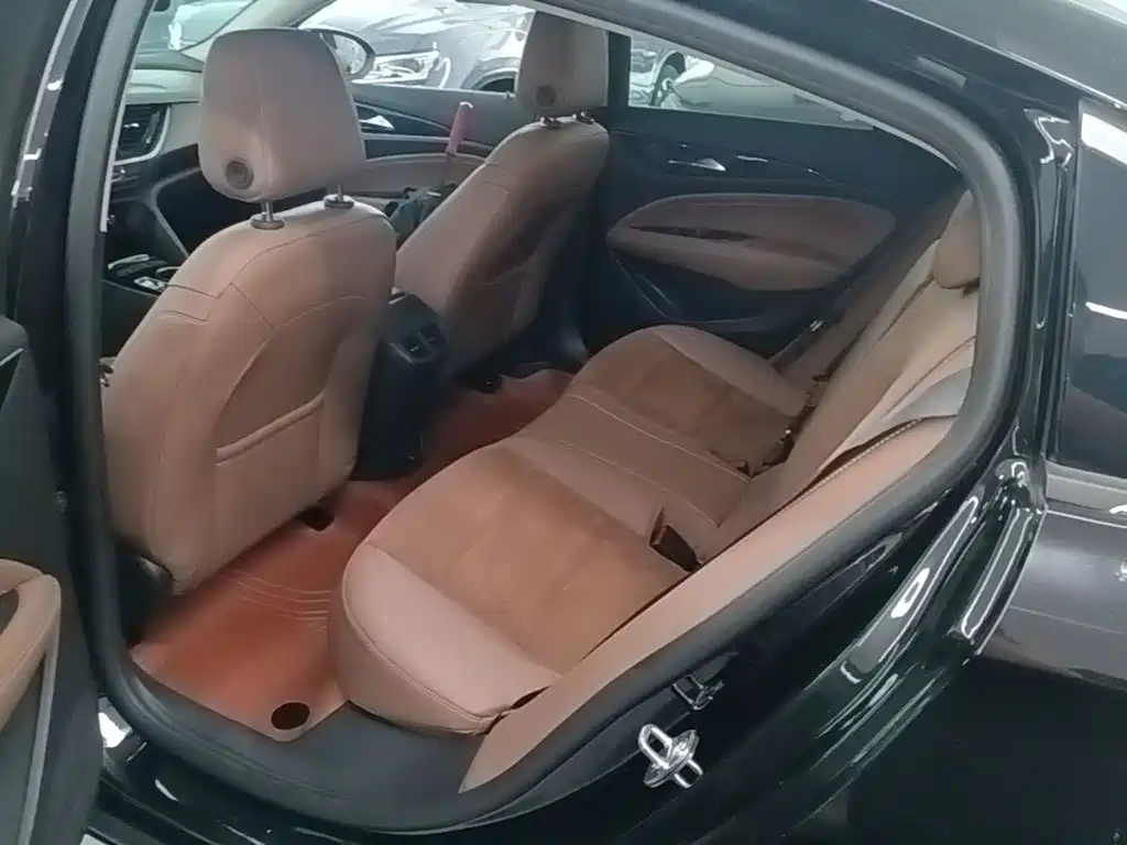Buick Regal — миниатюра 17