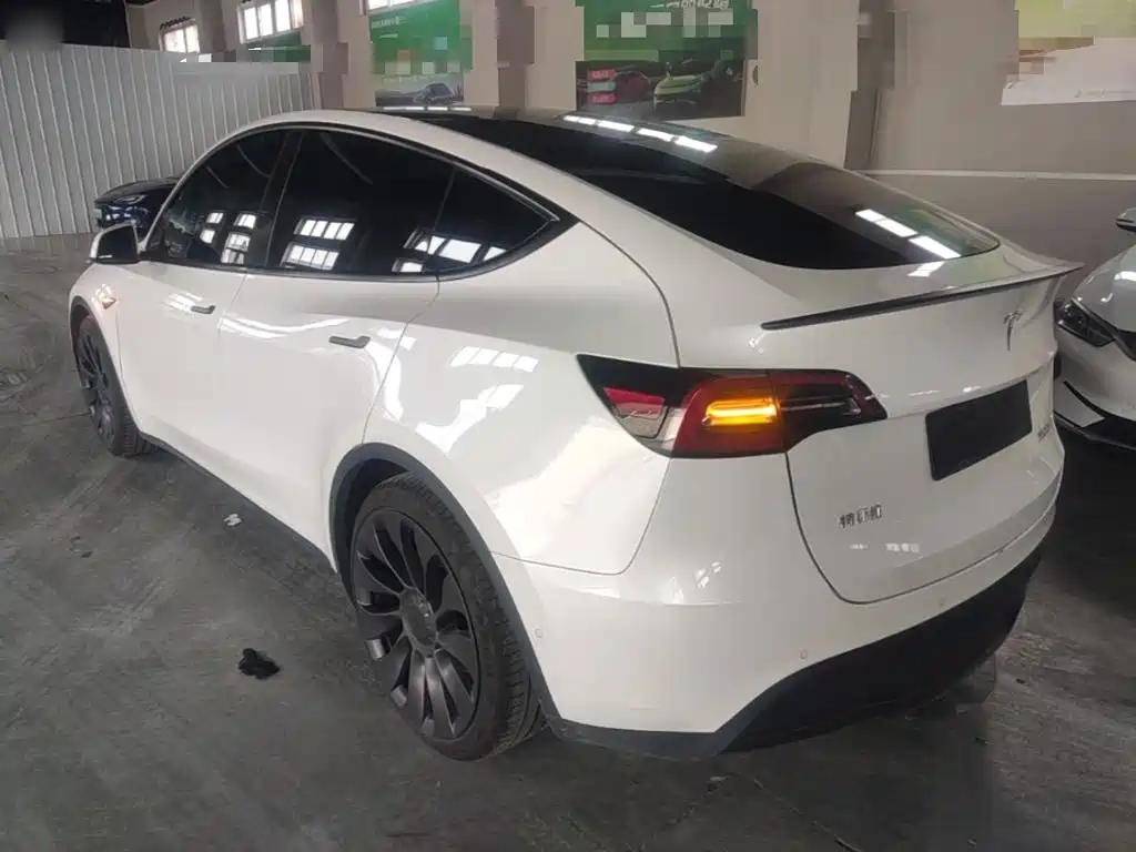 Tesla Model Y — миниатюра 5