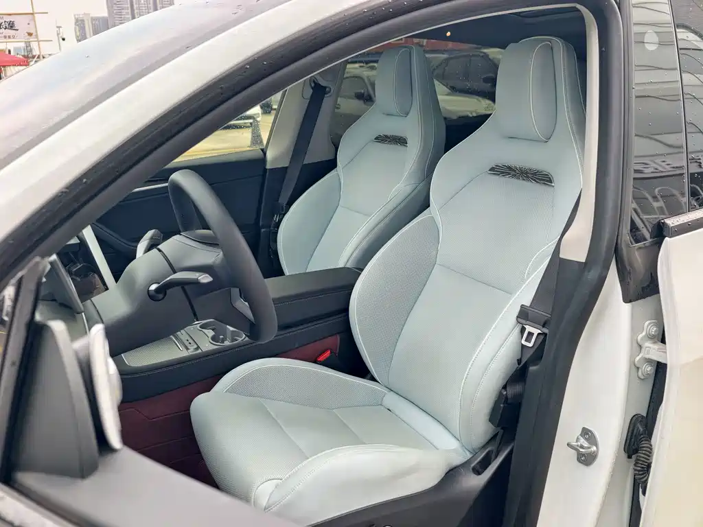 Tesla Model Y — миниатюра 11