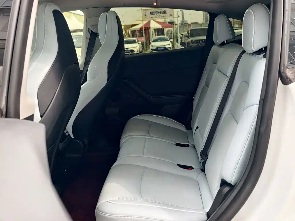 Tesla Model Y — миниатюра 12