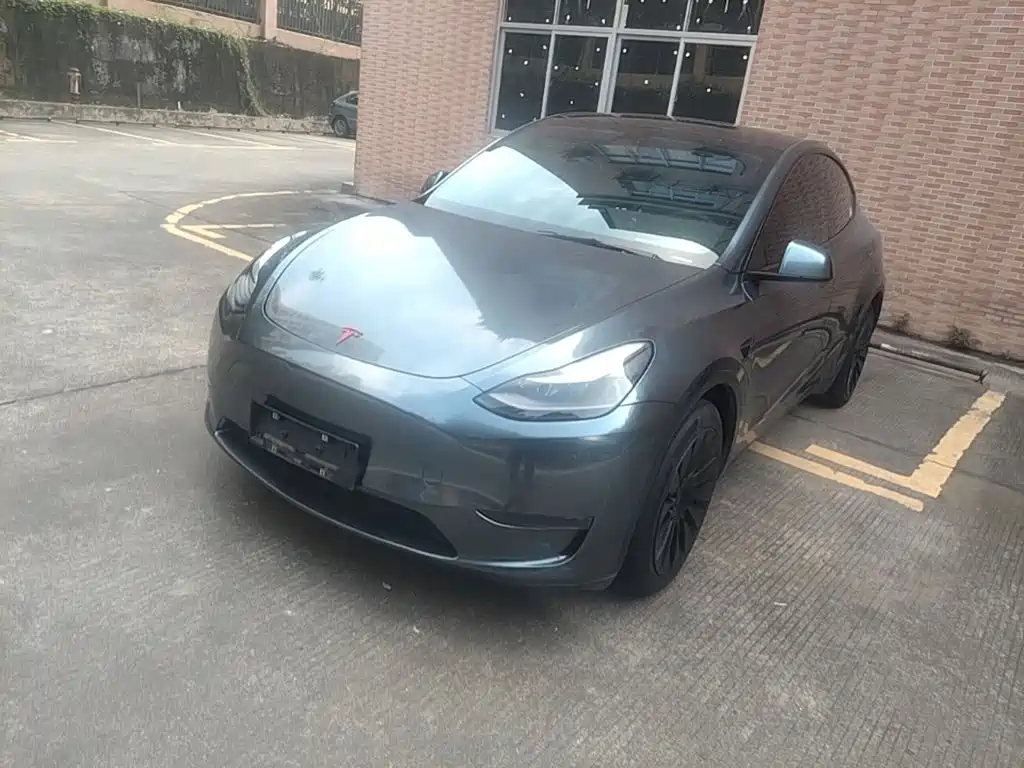Tesla Model Y — миниатюра 2