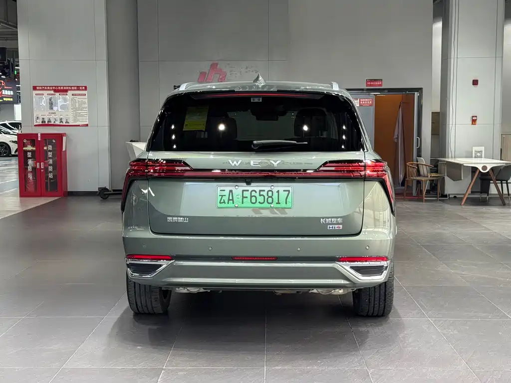 WEI PAI WEI BRAND BLUE MOUNTAIN