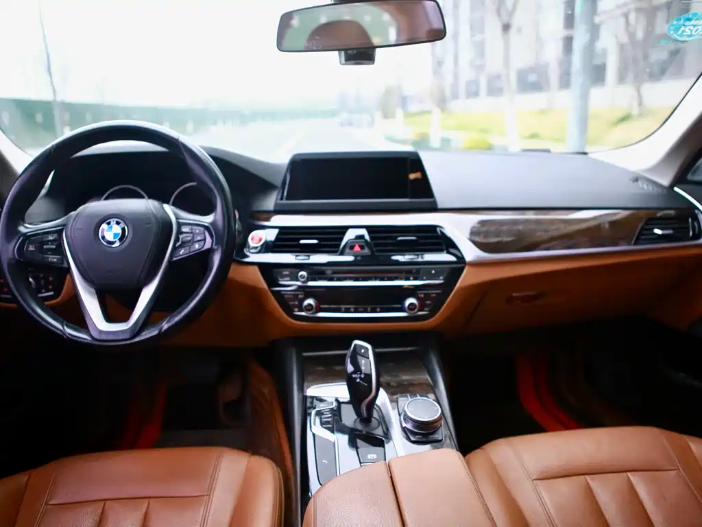 BMW 5 Series 5 2018 528Li