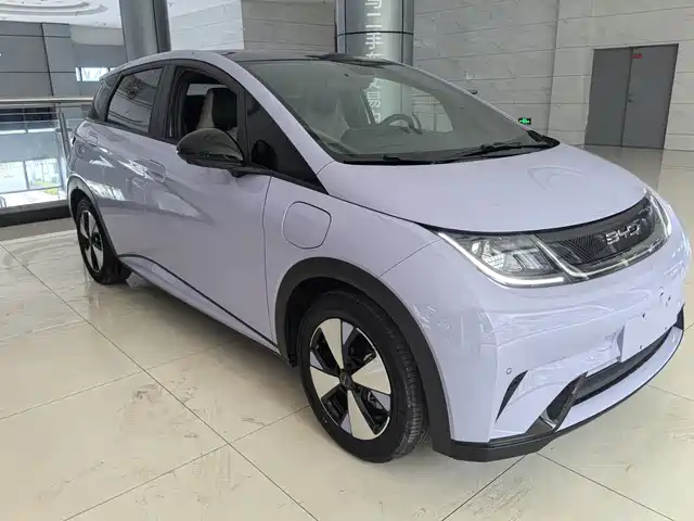 2023 BYD Dolphin